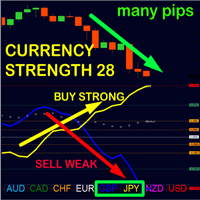 Free Download Advanced Currency Strength28 MT5